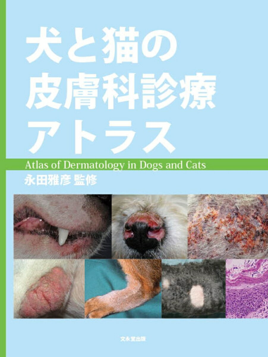 楽天市場】皮膚科 アトラスの通販 楽天市場】皮膚科 アトラスの通販