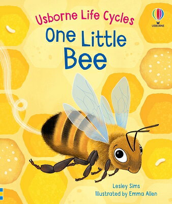 One Little Bee 1 LITTLE BEE （Life Cycles） 