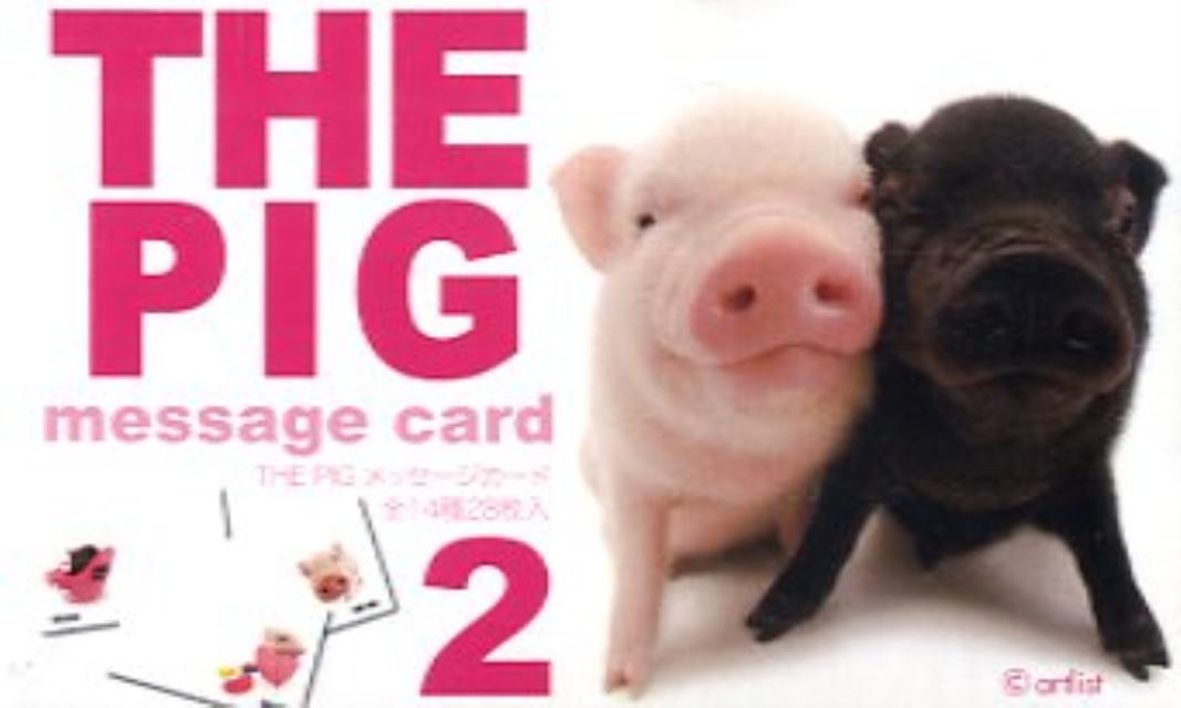 The PIG Message Card(2)