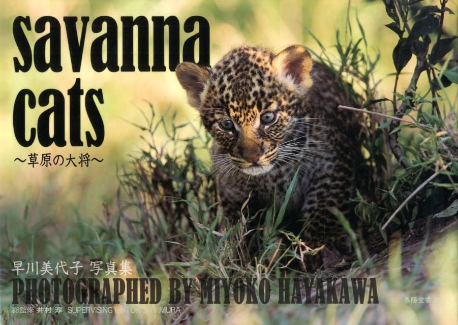 savanna　cats