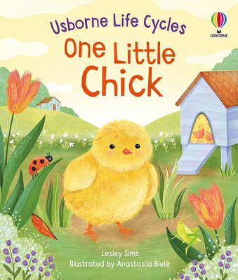 One Little Chick 1 LITTLE CHICK （Life Cycles） 