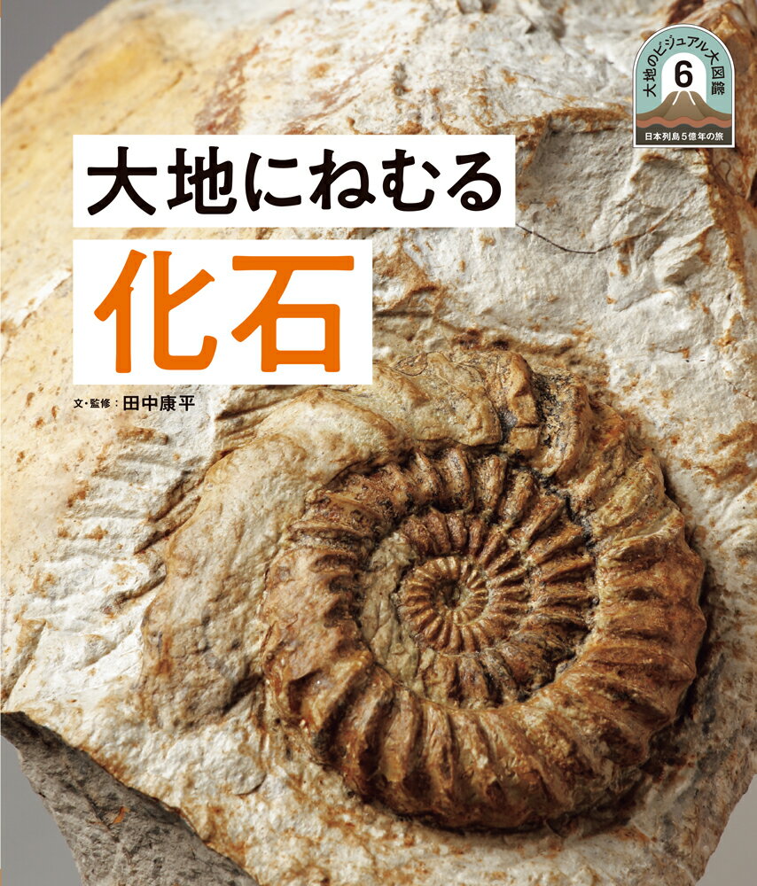 大地にねむる化石