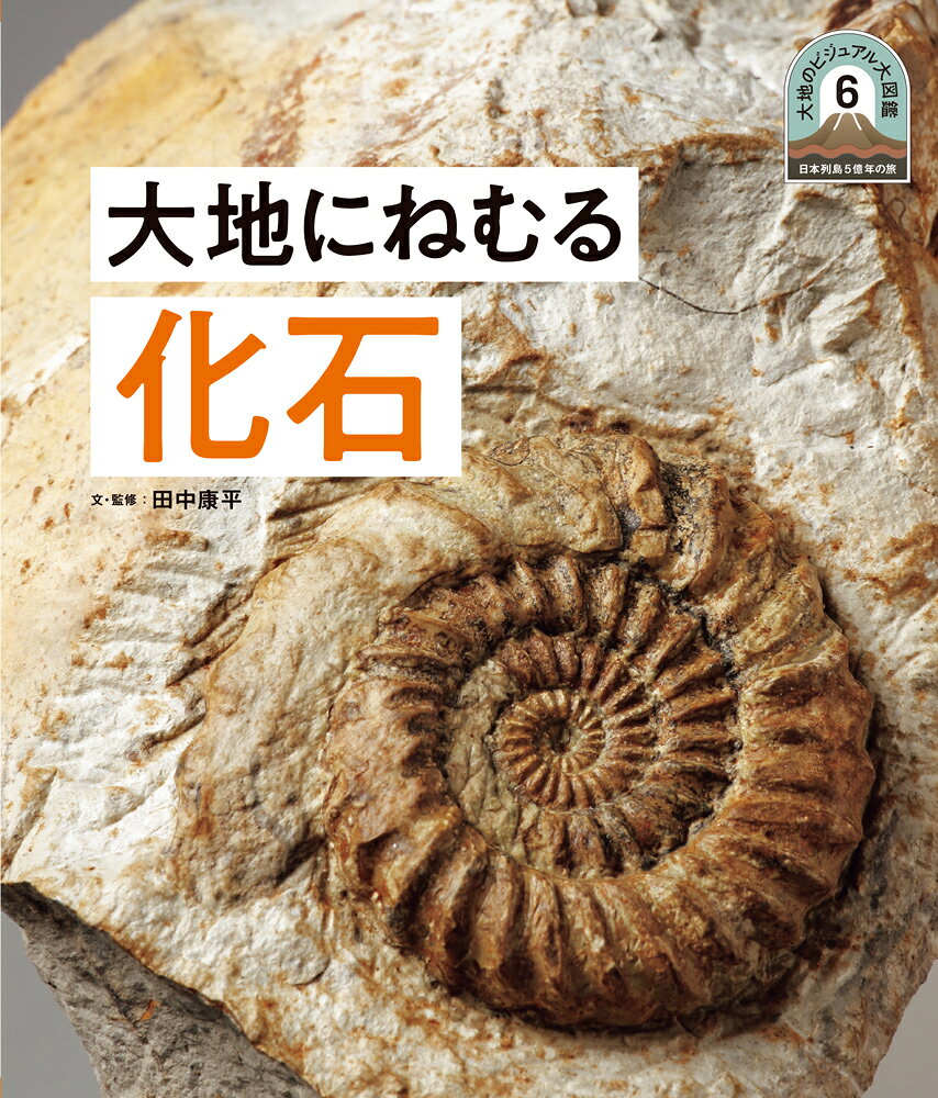 大地にねむる化石