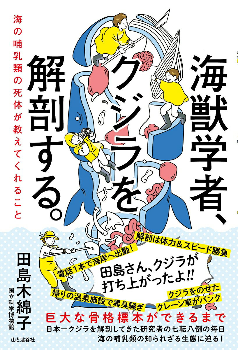 日本一クジラを解剖してきた研究者の七転八倒の毎日。海の哺乳類の知られざる生態に迫る！