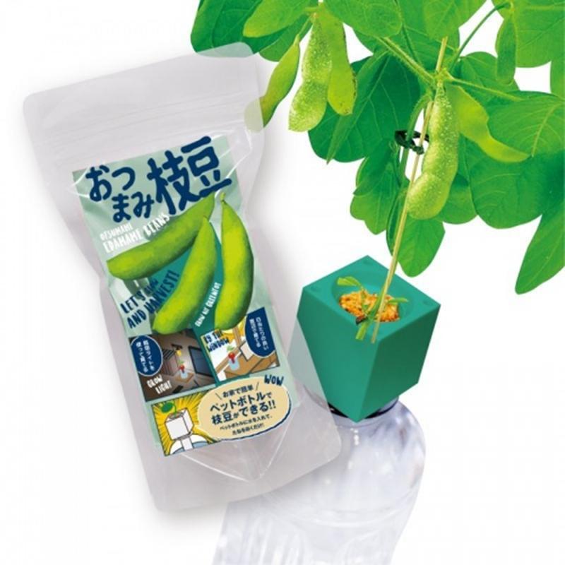ペットボトル栽培グリーントイ おつまみ枝豆