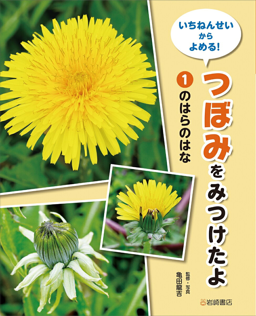 のはらのはな（1）