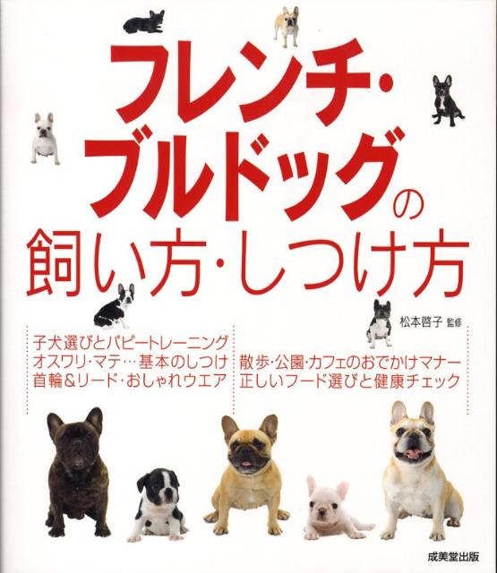 フレンチ・ブルドッグの飼い方・しつけ方