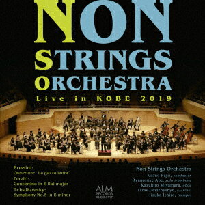 NON STRINGS ORCHESTRA 2019神戸公演