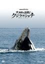 NHKスペシャル 大海原の決闘! クジラ対シャチ [ (趣味/教養) ]