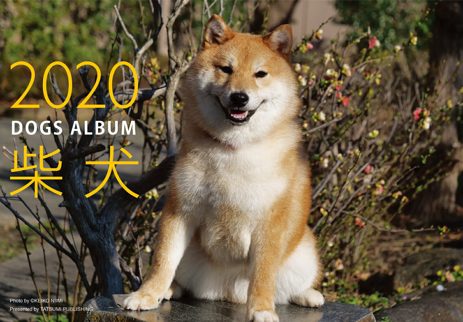 2020カレンダー ドッグズアルバム「柴犬」