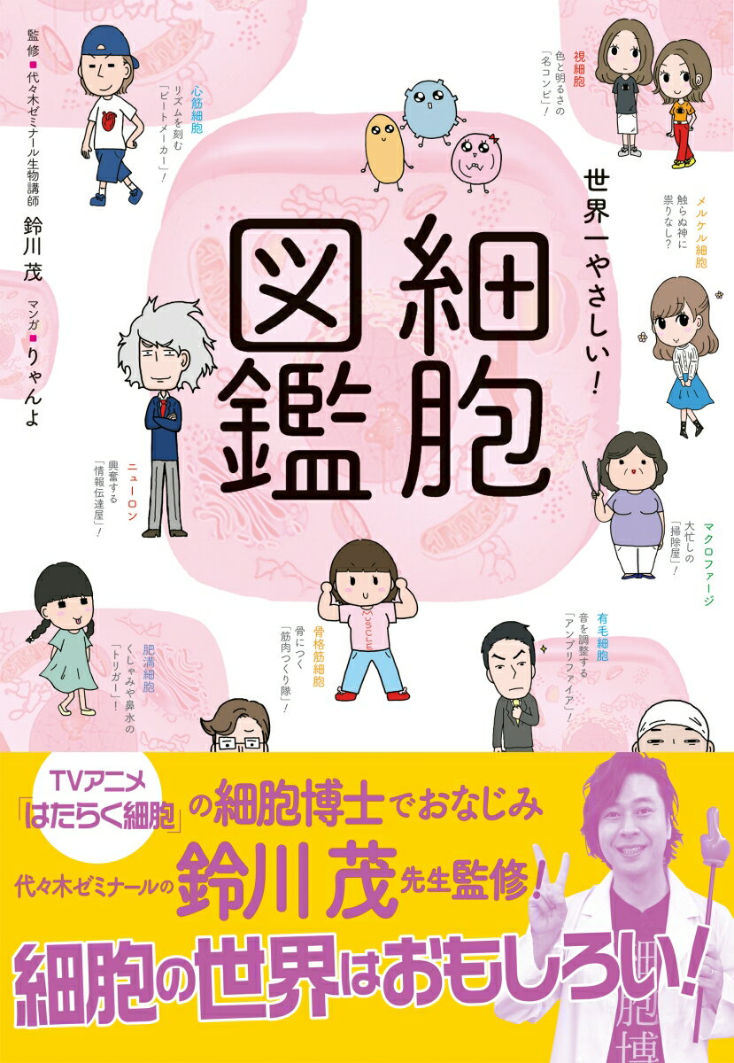 高校生・看護学生にオススメ、受験対策にお役立ち！あなたのカラダを作る３７兆個以上の細胞がマンガとキャラで楽しく読める！！