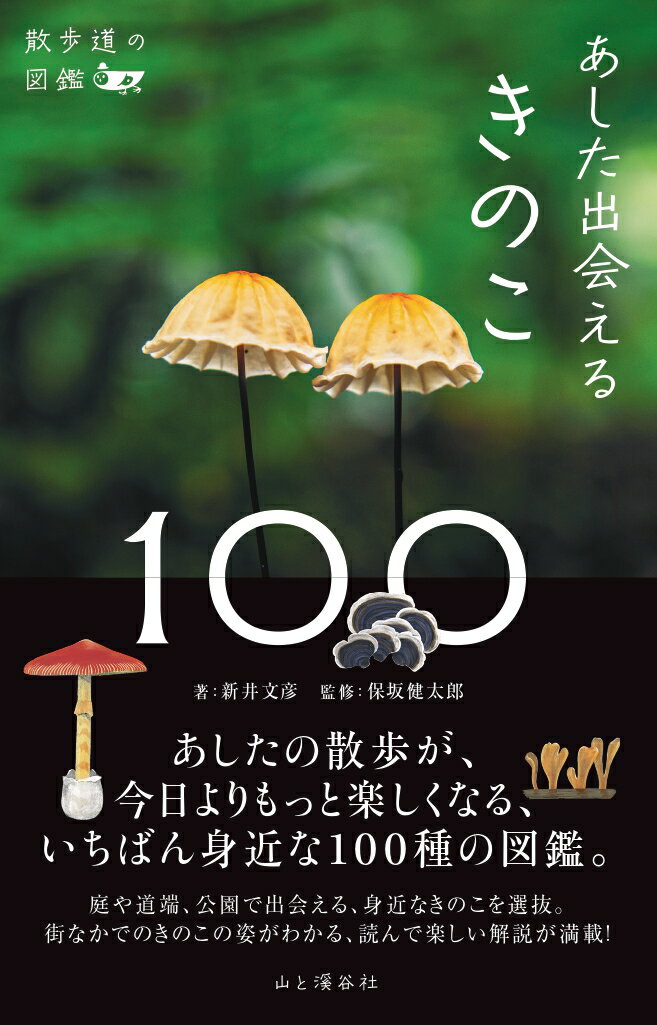 あしたの散歩が、今日よりもっと楽しくなる、いちばん身近な１００種の図鑑。庭や道端、公園で出会える、身近なきのこを選抜。街なかでのきのこの姿がわかる、読んで楽しい解説が満載！