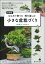 新装版 小さな盆栽づくり
