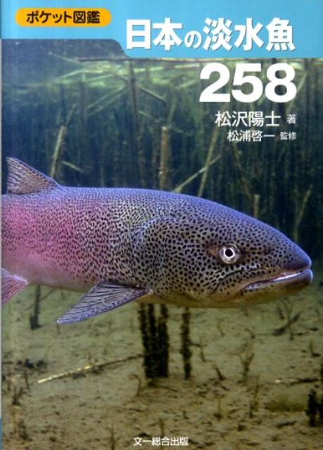 日本の淡水魚258 （ポケット図鑑） [ 松沢陽士 ]