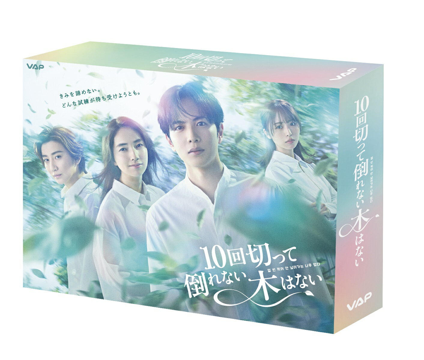 10回切って倒れない木はない DVD BOX