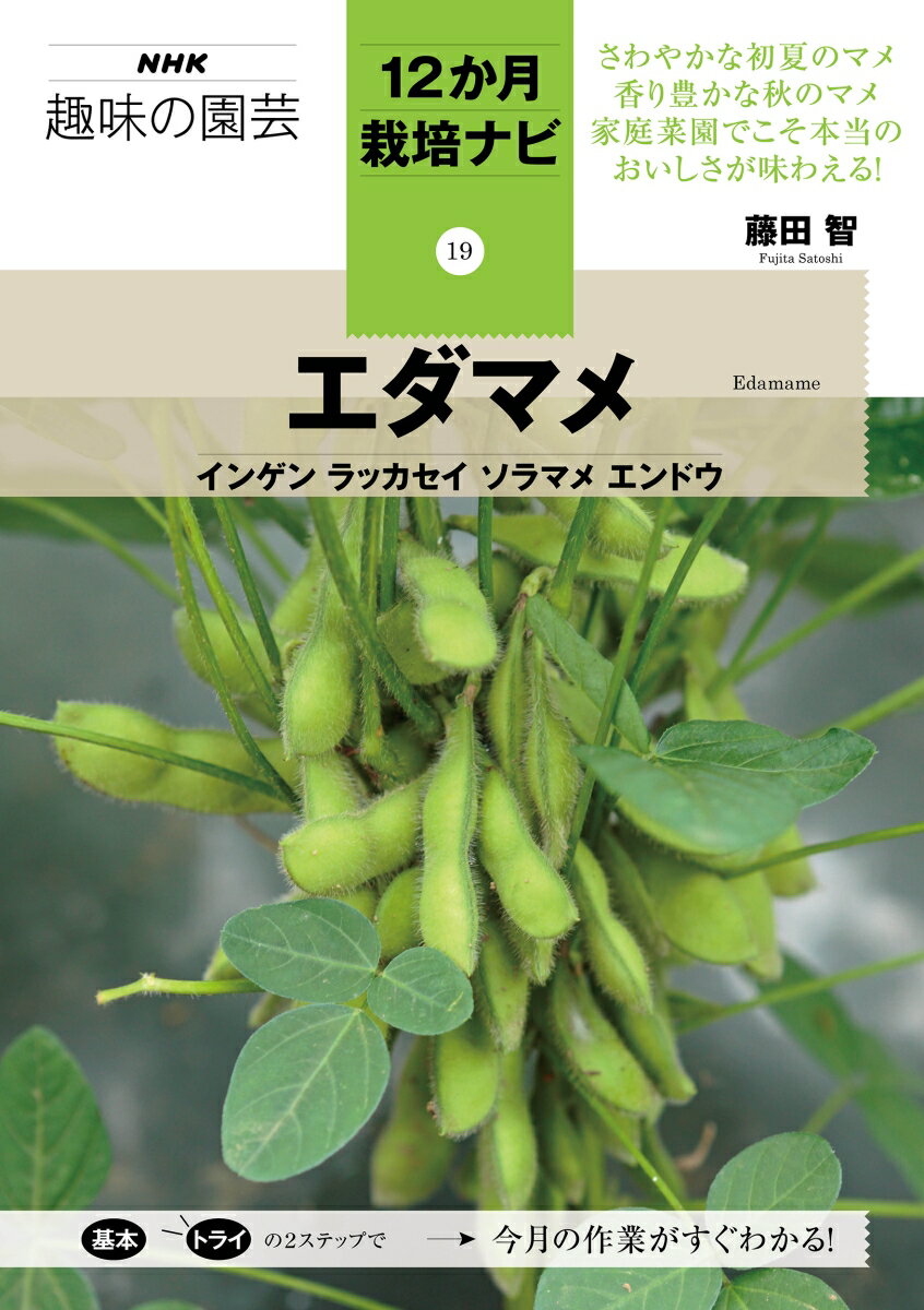 エダマメ　インゲン　ラッカセイ　ソラマメ　エンドウ （NHK趣味の園芸12か月栽培ナビ(19)　19） 