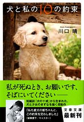 犬と私の10の約束 （文春文庫） [ 川口 晴 ]