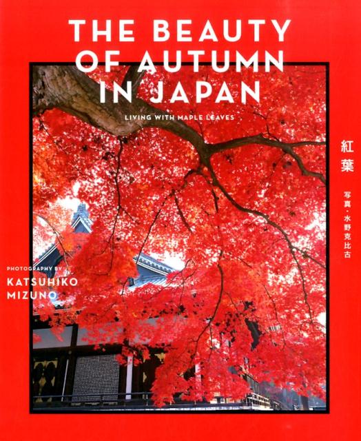 THE　BEAUTY　OF　AUTUMN　IN　JAPAN