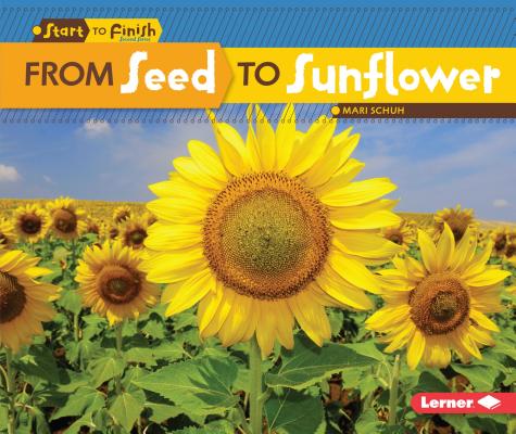 From Seed to Sunflower FROM SEED TO SUNFLOWER （Start to Finish, Second） [ Mari C. Schuh ]