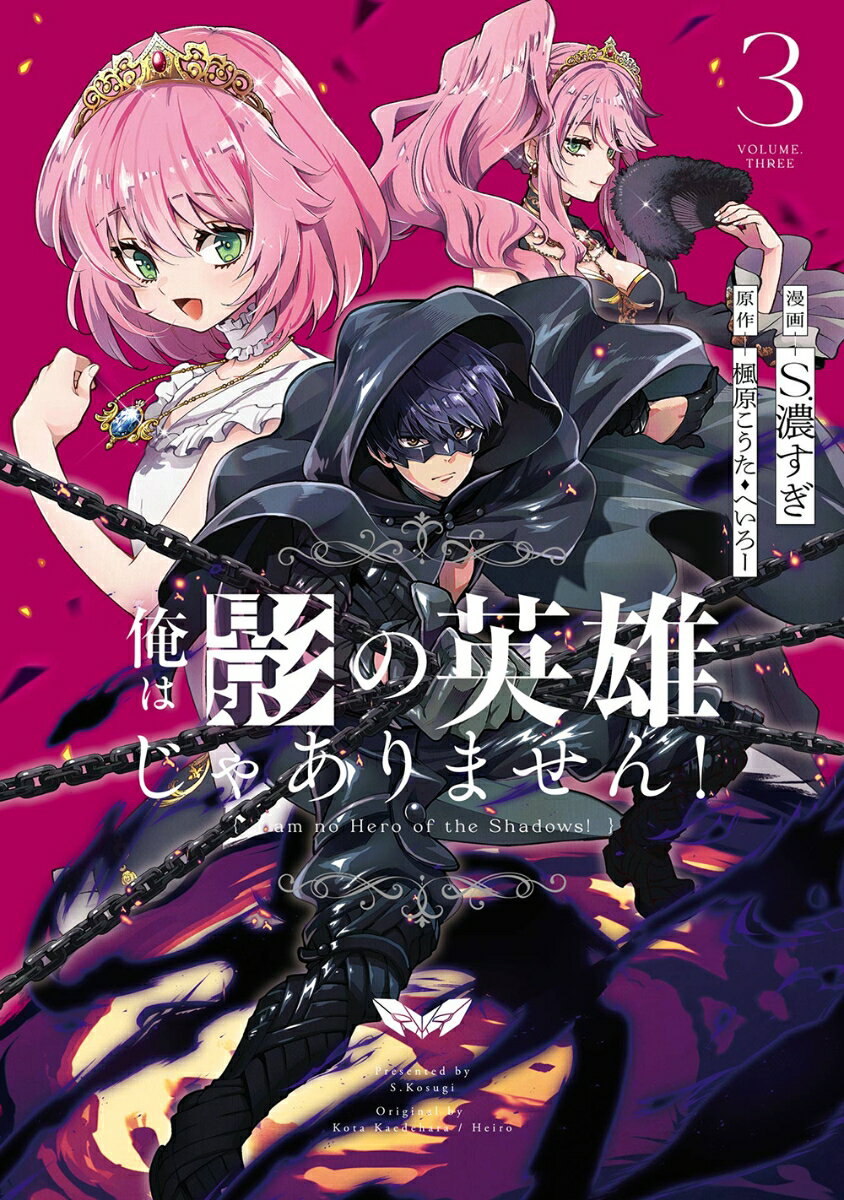 俺は影の英雄じゃありません！（コミック）（3）