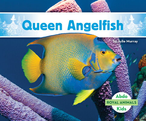 Queen Angelfish QUEEN ANGELFISH （Royal Animals） 