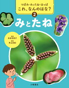 つぼみ・みとたね・はっぱ　これ、なんのはな？　2みとたね