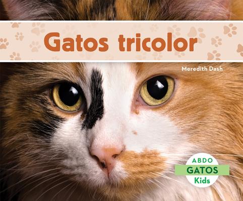 Gatos Tricolor (Calico Cats)