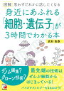 スイッチ 遺伝子が目覚める瞬間 [ 村上和雄 ]