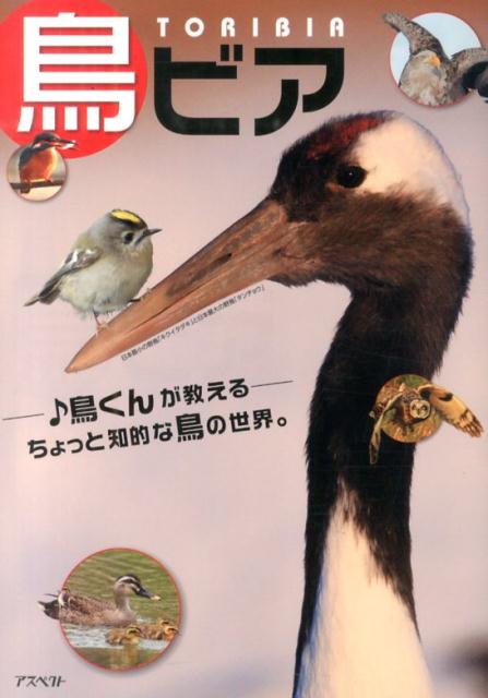 鳥ビア