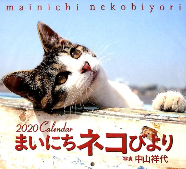 まいにちネコびより（2020）