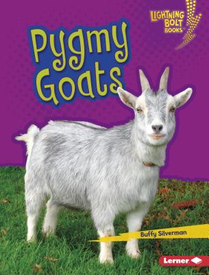 Pygmy Goats PYGMY GOATS （Lightning Bolt Books (R) -- Little Pets） [ Buffy Silverman ]