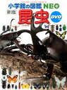 小学館の図鑑NEO〔新版〕 昆虫 DVDつき （小学館の図鑑 NEO） [ 小池 啓一 ]