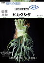 観葉植物 ビカクシダ （NHK趣味の園芸12か月栽培ナビNEO） 杉山 拓巳