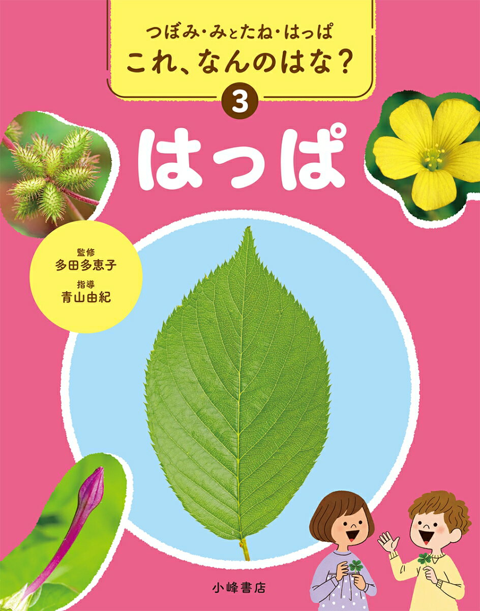 つぼみ・みとたね・はっぱ　これ、なんのはな？　3はっぱ