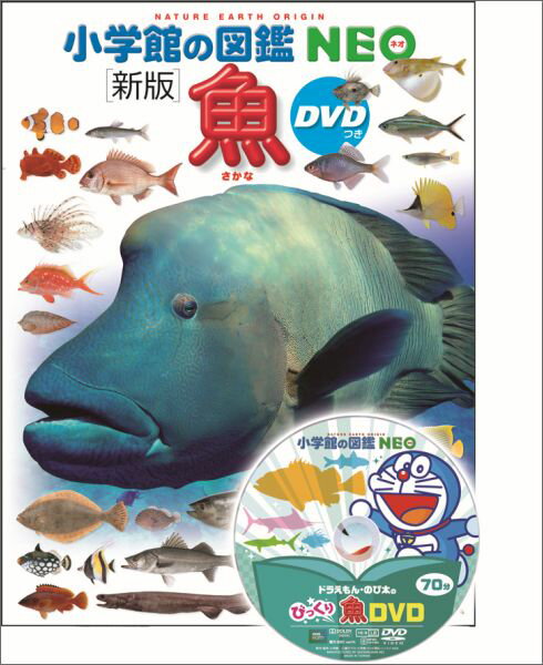 魚　新版 DVDつき （小学館の図鑑NEO