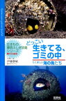 どっこい生きてる、ゴミの中 たくましい海の魚たち （「生きもの摩訶ふしぎ図鑑」シリーズ） [ 伊藤勝敏 ]