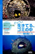 どっこい生きてる、ゴミの中