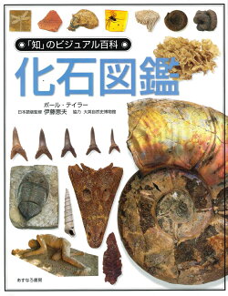 化石図鑑の表紙