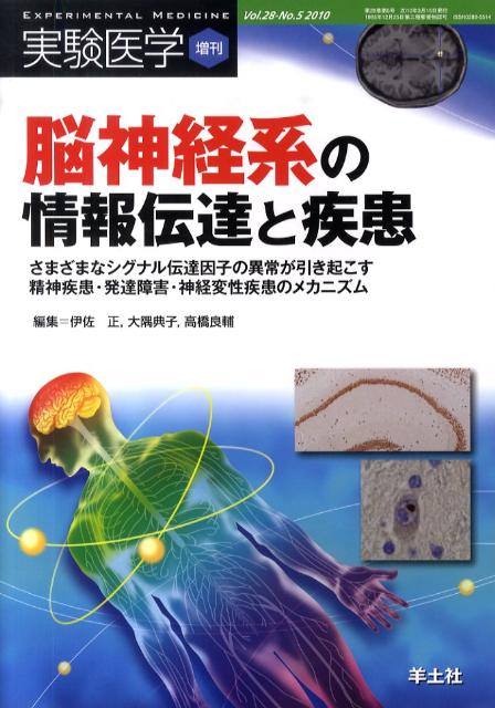 脳神経系の情報伝達と疾患