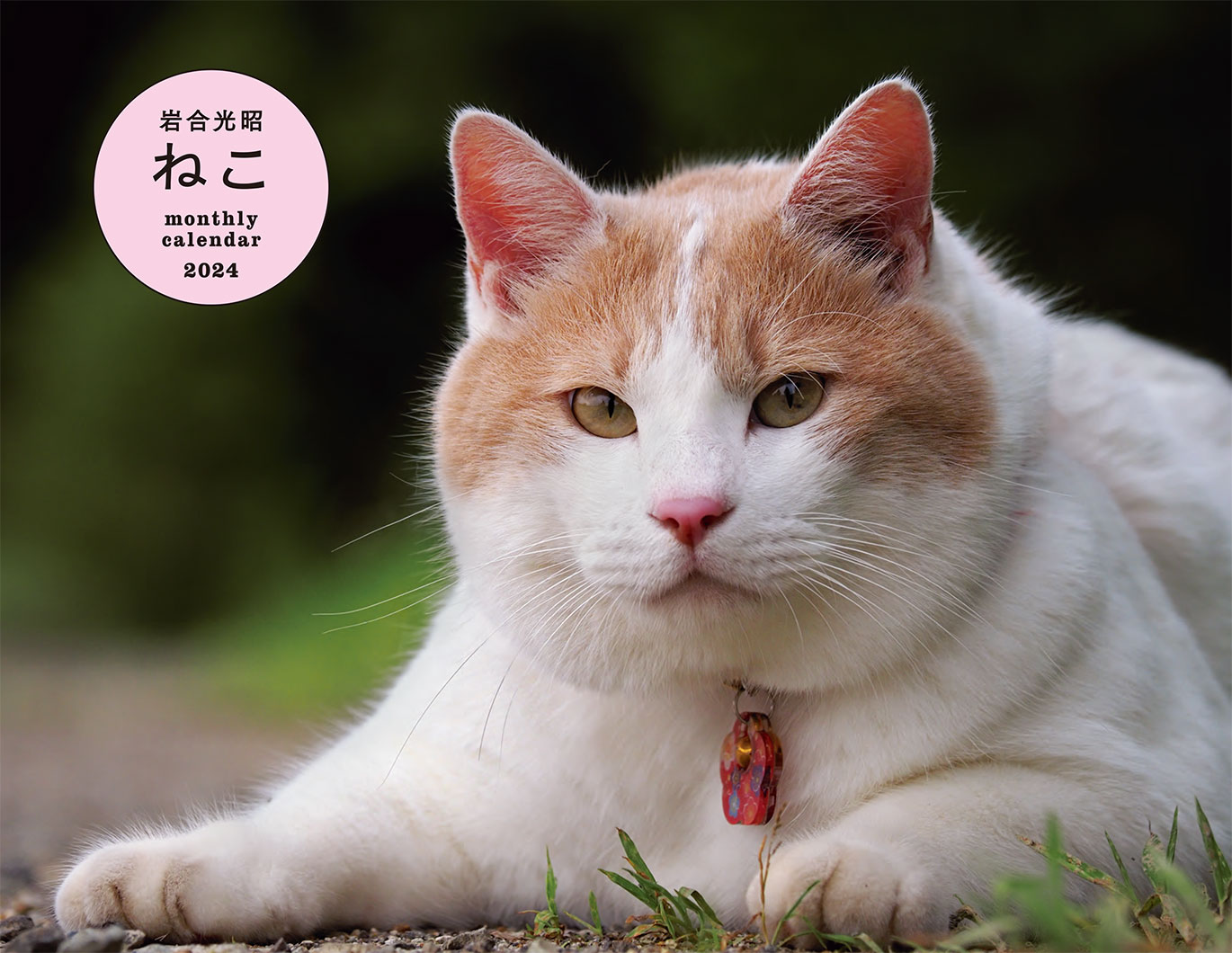 2024 岩合光昭 ねこ monthly calendar