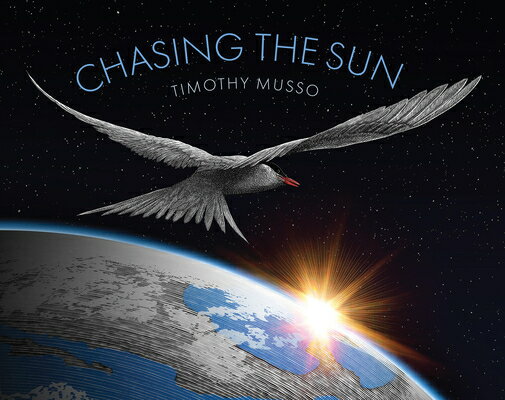 Chasing the Sun CHASING THE SUN [ Timothy Musso ]