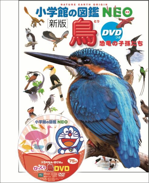 鳥　新版 DVDつき 恐竜の子孫たち （