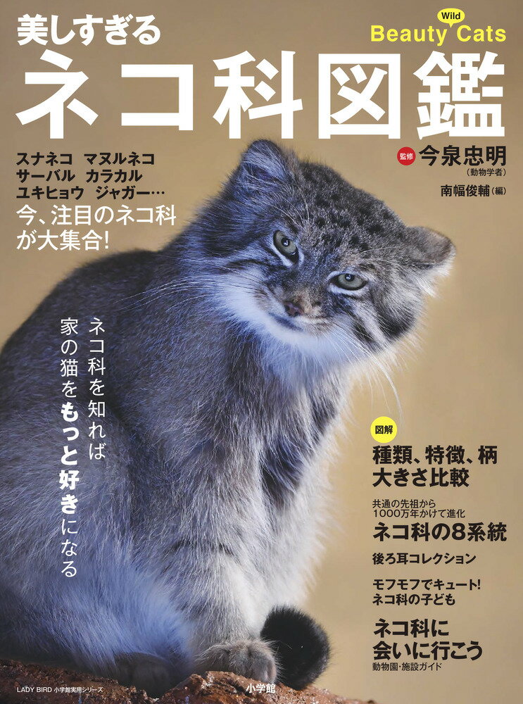 増補改訂版　犬が殺される 動物実験の闇を探る [ 森 映子 ]