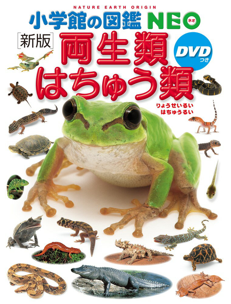 小学館の図鑑NEO〔新版〕 両生類 はちゅう類 DVDつき 松井 正文