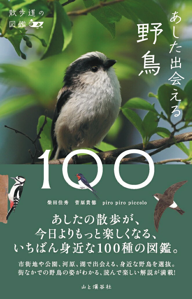 あした出会える野鳥100 散歩道の図鑑 