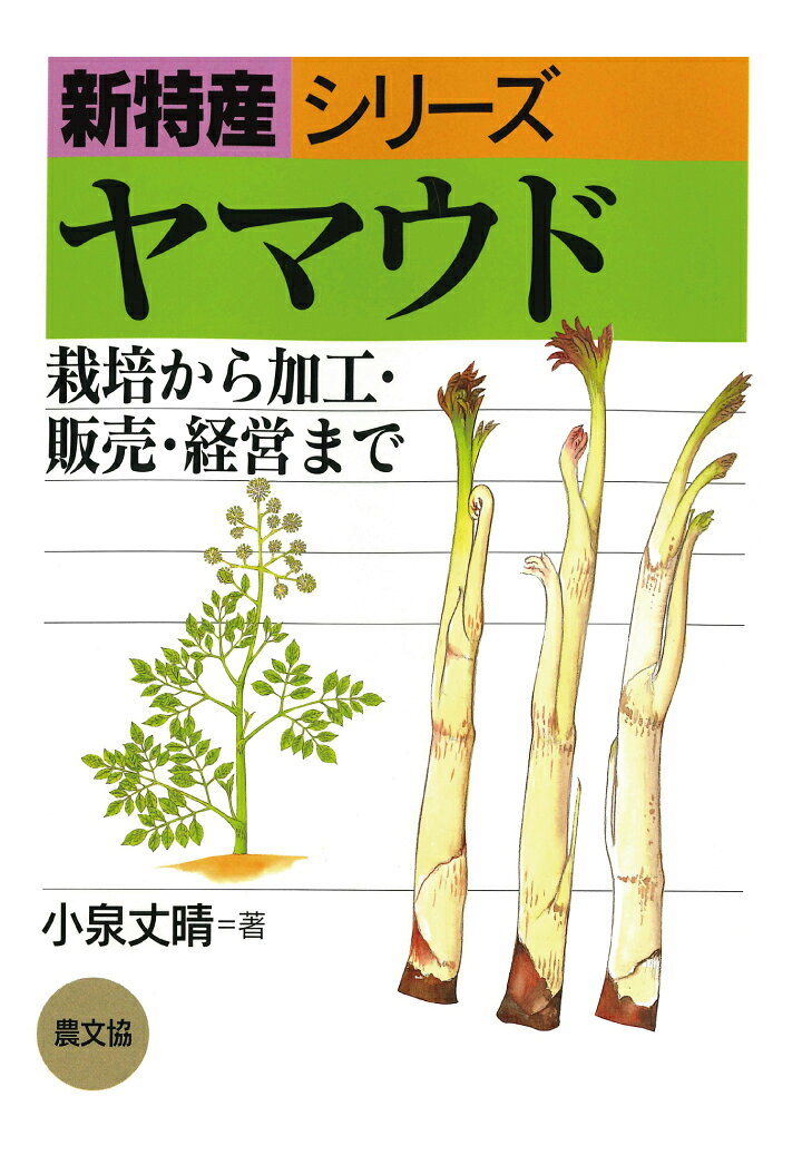 Pod ヤマウド 小泉丈晴 Myjp 日本代購