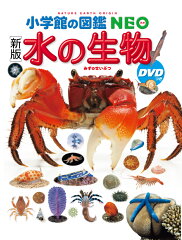 https://thumbnail.image.rakuten.co.jp/@0_mall/book/cabinet/3071/9784092173071.jpg