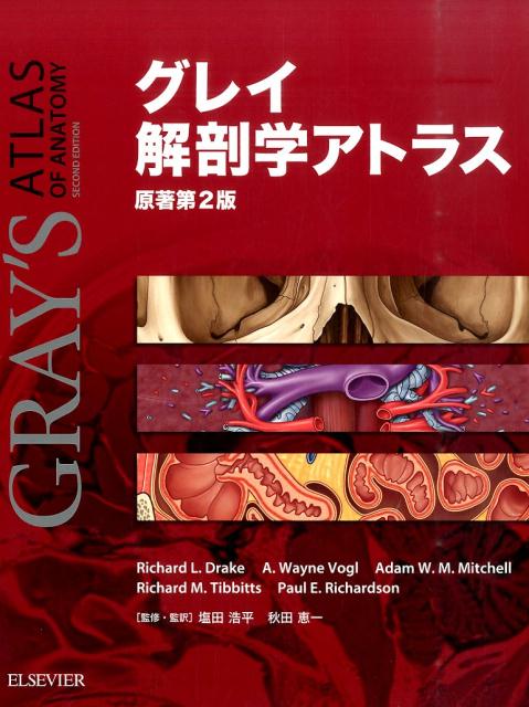 グレイ解剖学アトラス原著第2版