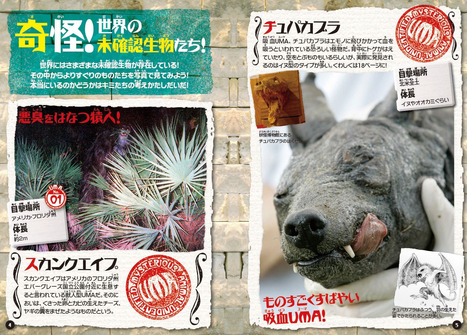 未確認生物超謎図鑑 世界各地で目撃された正体不明の90体以上公開！ [ 山口敏太郎 ]