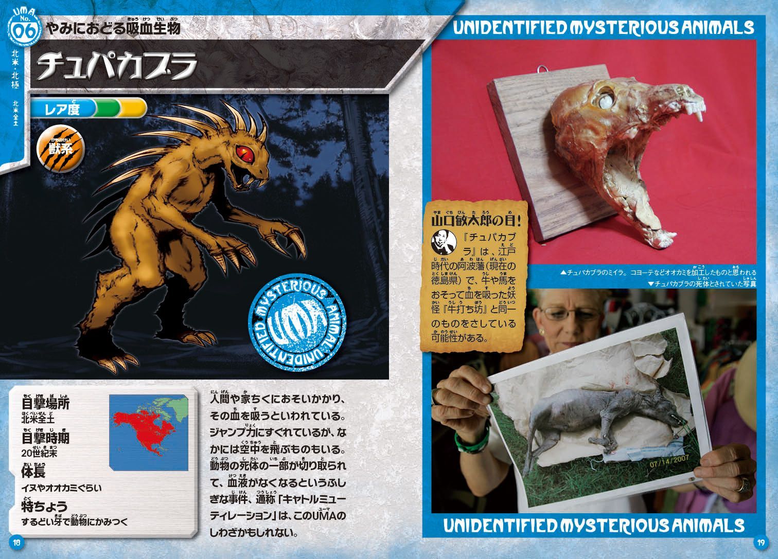 未確認生物超謎図鑑 世界各地で目撃された正体不明の90体以上公開！ [ 山口敏太郎 ]